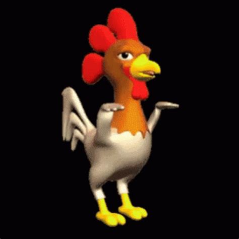 chicken gif - funny